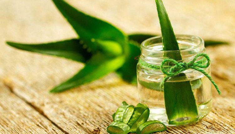 آلوئه ورا برای درمان جوش